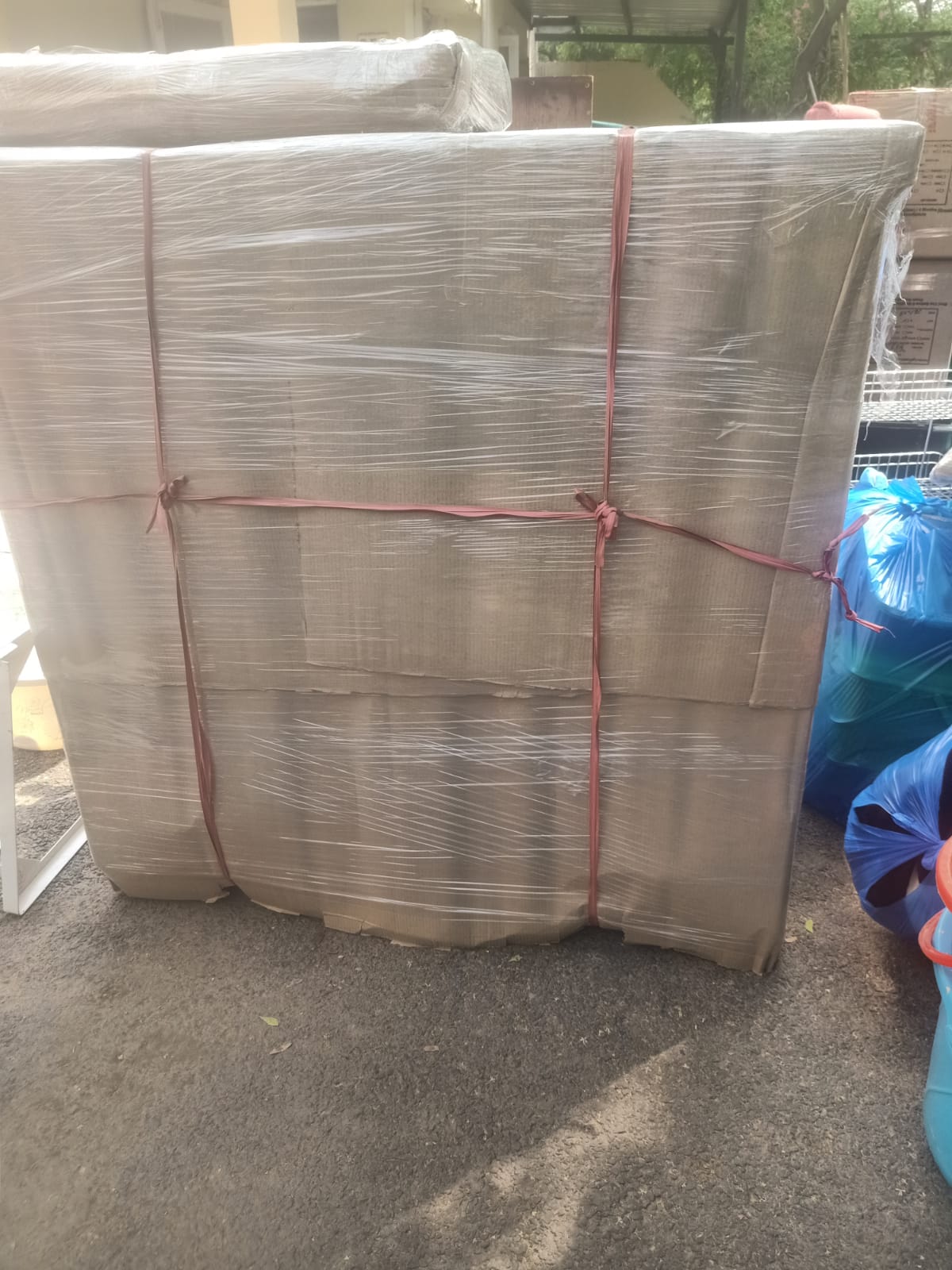 WhatsApp Image 2025-08-08 at 11.37.27 AM (2)