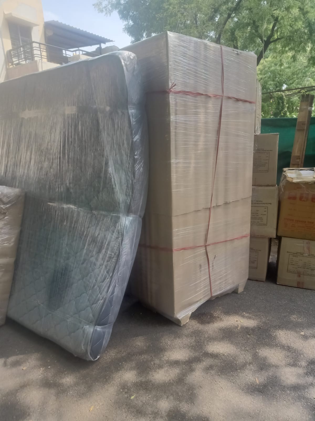 WhatsApp Image 2025-08-08 at 11.37.28 AM (2)